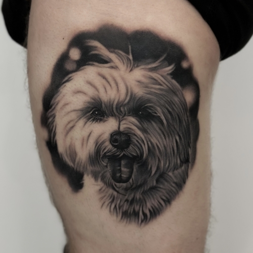 Tattoo af hund i Esbjerg
