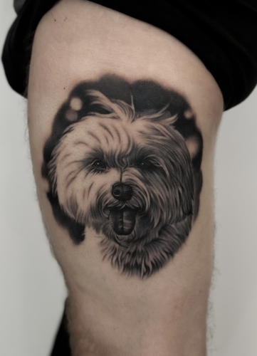Tattoo af hund i Esbjerg